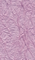 №16